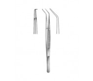 Dental Tweezers